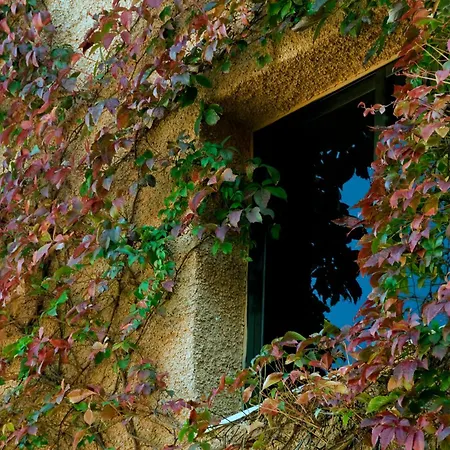 Porcel Alixares-2