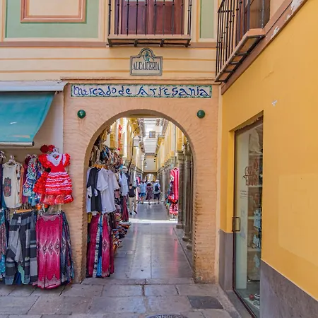 Domus Apartamentos Granada con parking gratuito en pleno centro-3